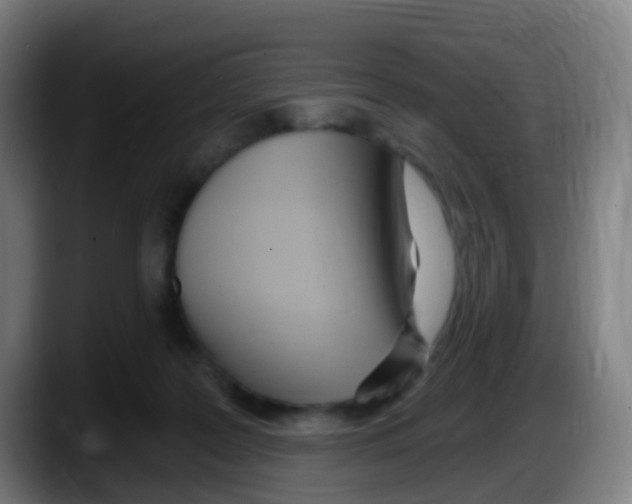 X0000087610219200705251949