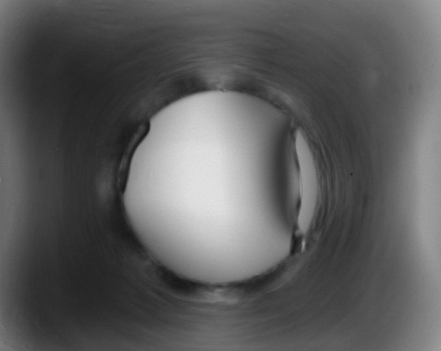 X0000087610221200705251949