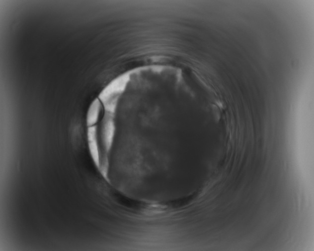 X0000087610222200705251949