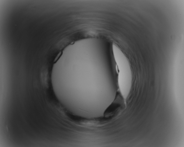 X0000087610223200705251949