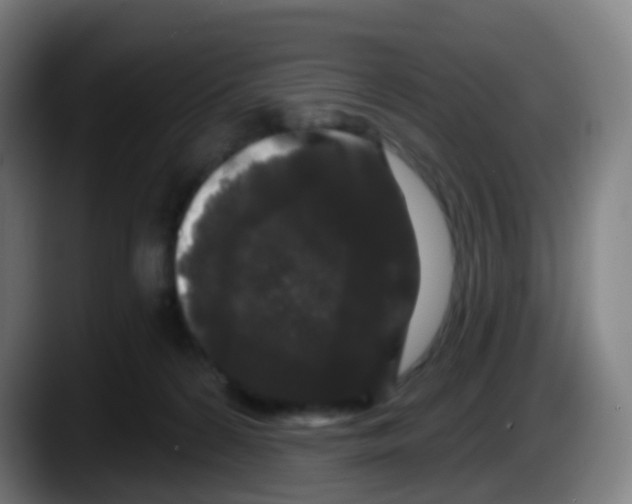 X0000087610224200705251949