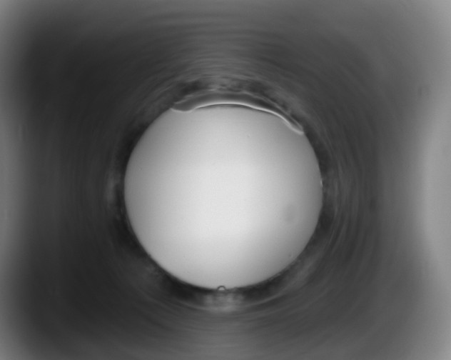 X0000087610225200705251949