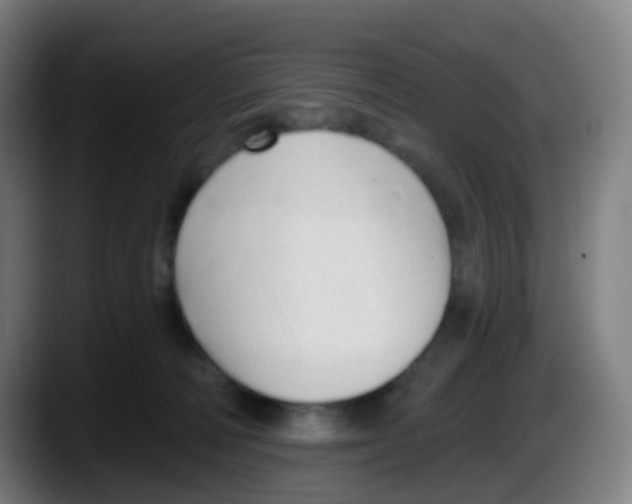 X0000087610226200705251949