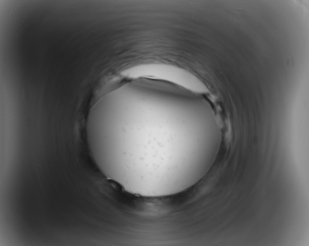 X0000087610229200705251949