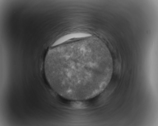 X0000087610230200705251949