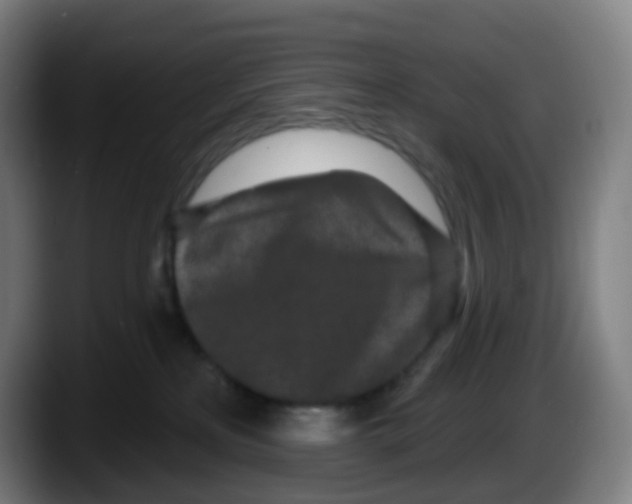 X0000087610233200705251949