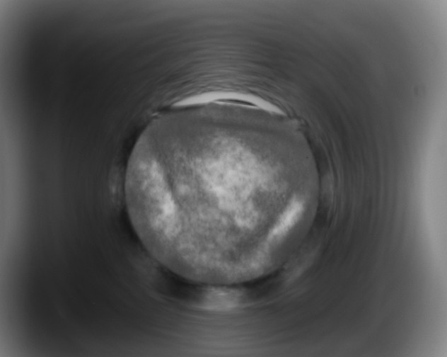 X0000087610234200705251949