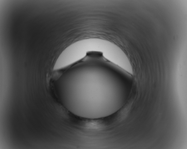 X0000087610235200705251949