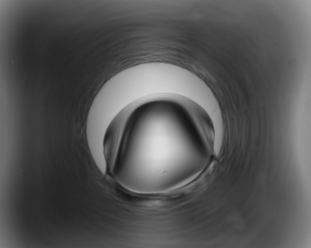 X0000087610237200705251949