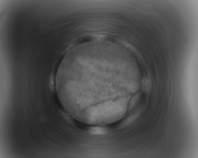 X0000087610238200705251949