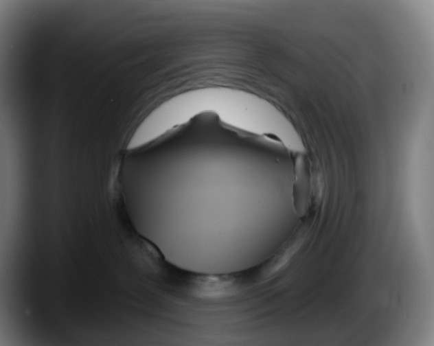 X0000087610239200705251949