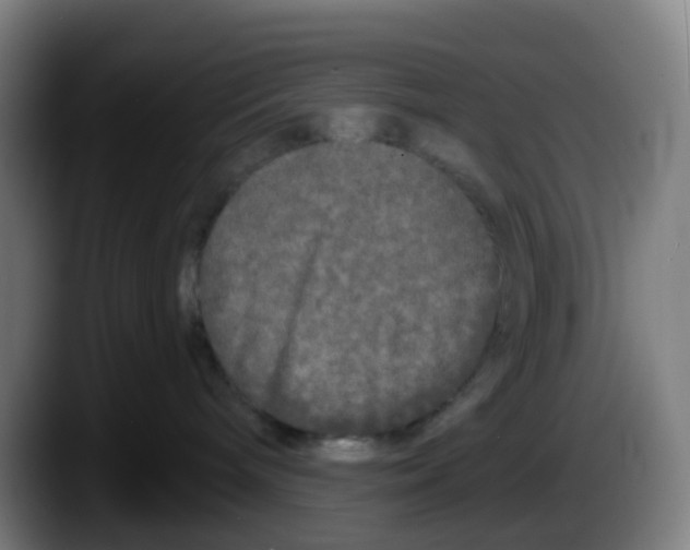 X0000087610240200705251949