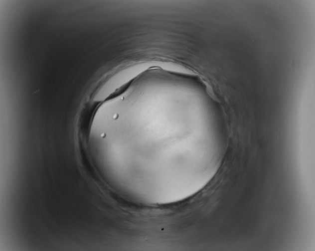 X0000087610242200705251948