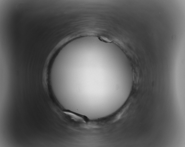 X0000087610244200705251948