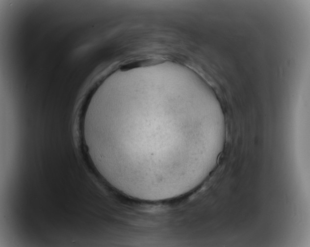 X0000087610245200705251948