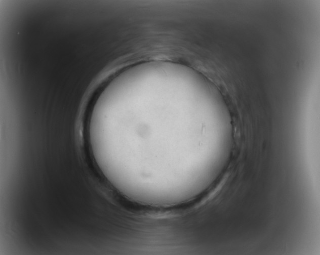 X0000087610246200705251948