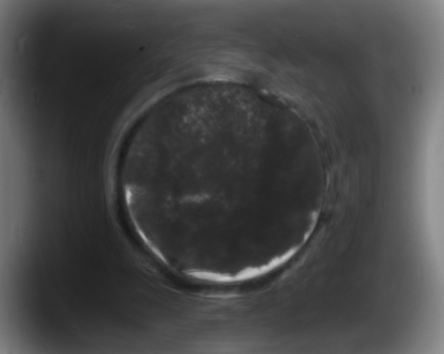 X0000087610247200705251948