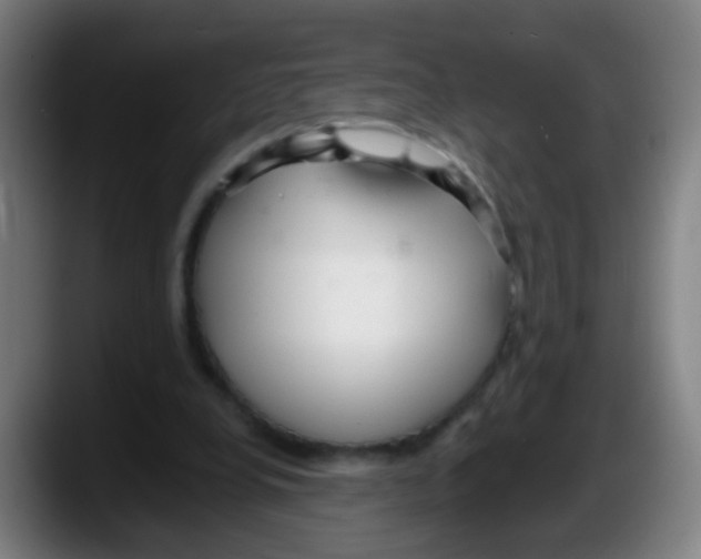 X0000087610248200705251948