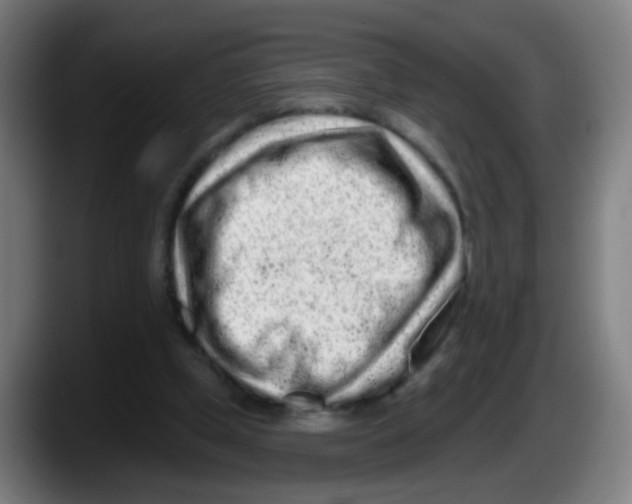 X0000087610249200705251948