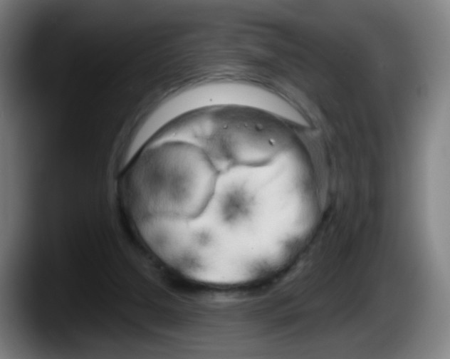 X0000087610250200705251948