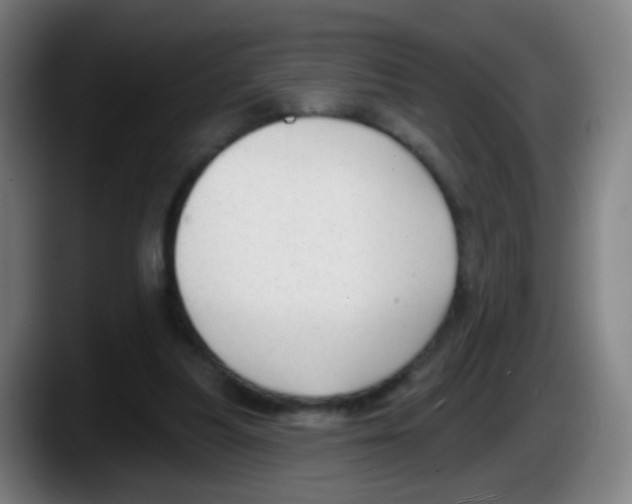 X0000087610251200705251948