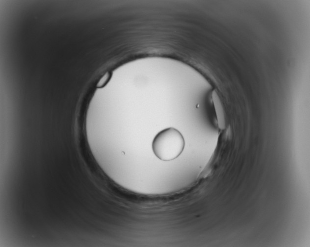 X0000087610252200705251948