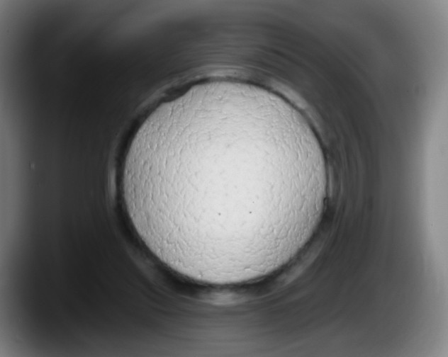 X0000087610253200705251948