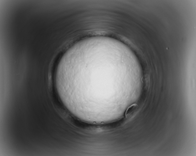 X0000087610254200705251948