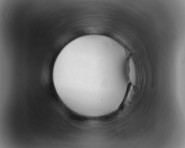 X0000087610255200705251948