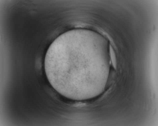 X0000087610257200705251948