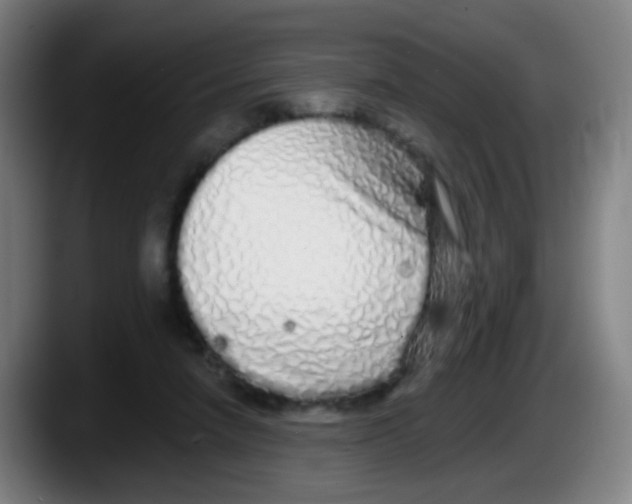 X0000087610258200705251948