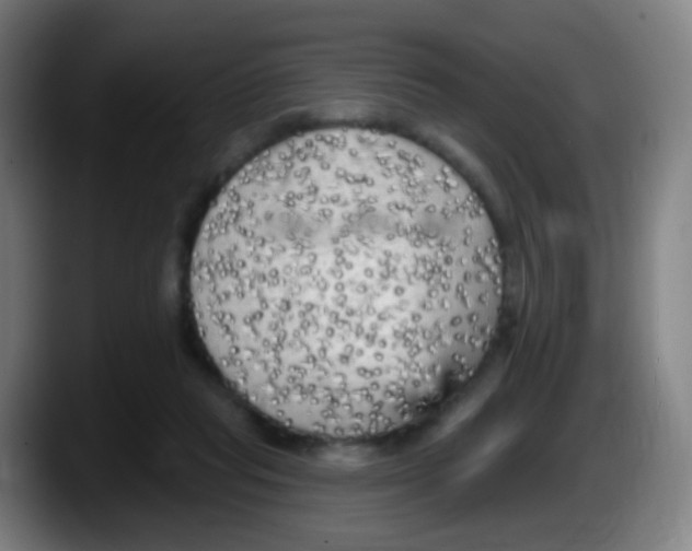 X0000087610261200705251948