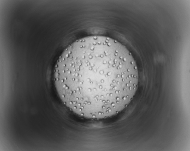 X0000087610263200705251948