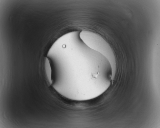 X0000087610268200705251948