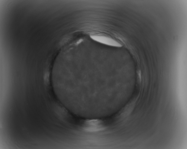 X0000087610269200705251948