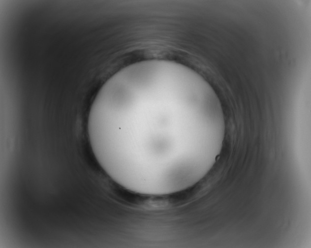 X0000087610270200705251948