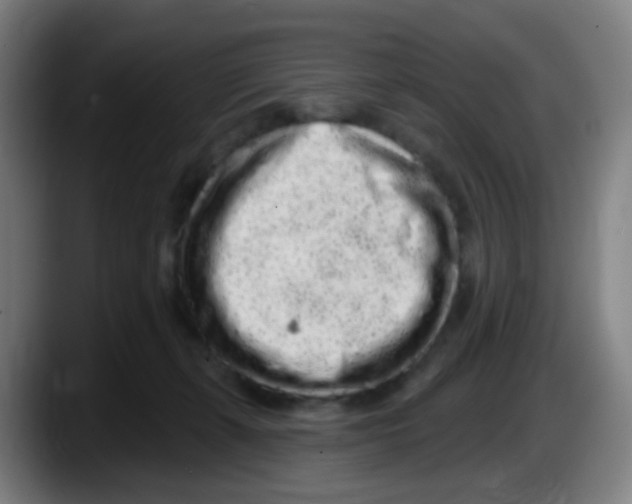 X0000087610271200705251948