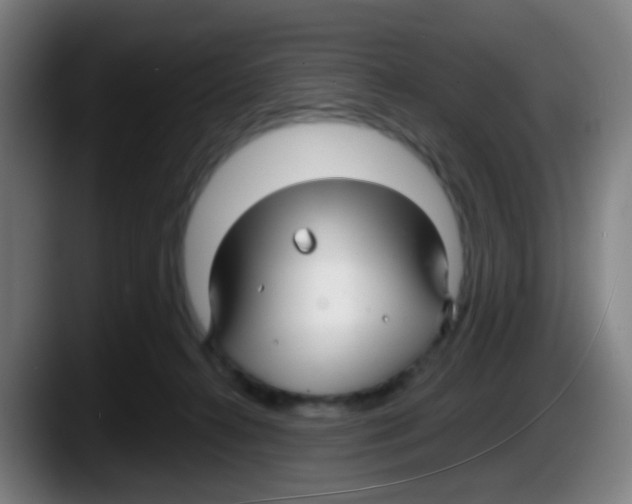 X0000087610272200705251948