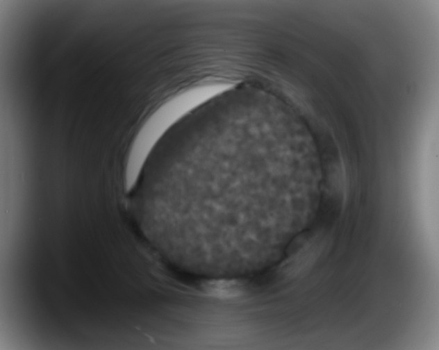 X0000087610273200705251948