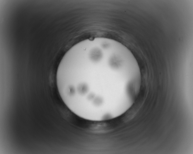 X0000087610274200705251948