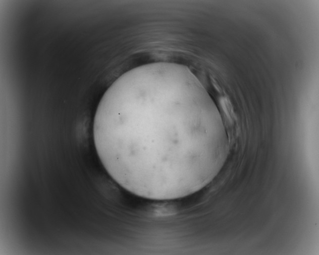 X0000087610275200705251948