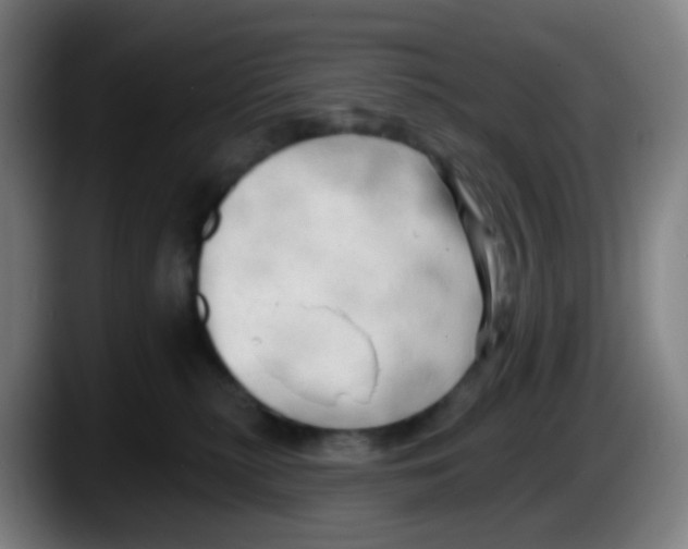 X0000087610279200705251948