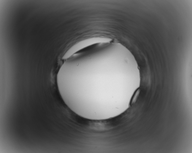 X0000087610282200705251948