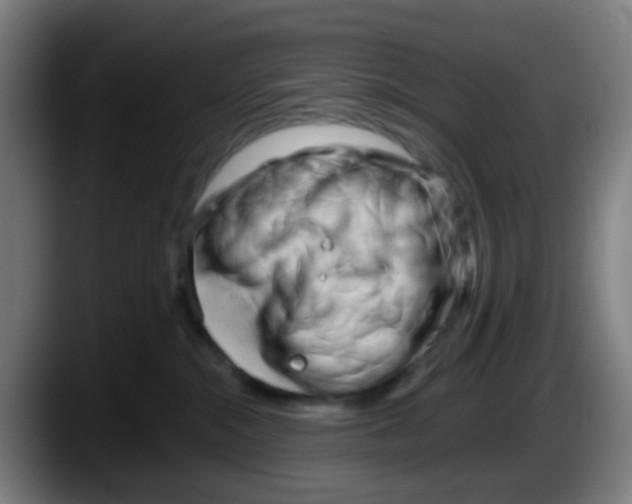 X0000087610284200705251949