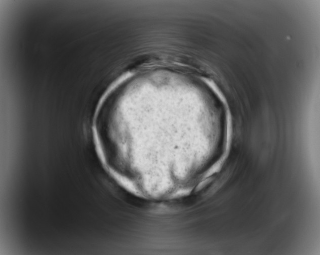 X0000087610285200705251949