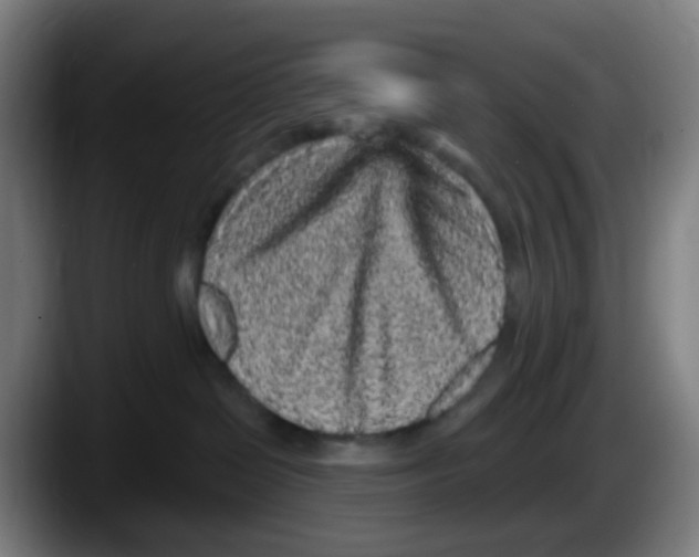 X0000087610286200705251949