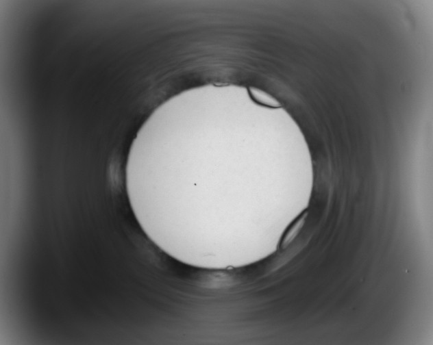 X0000087610287200705251949