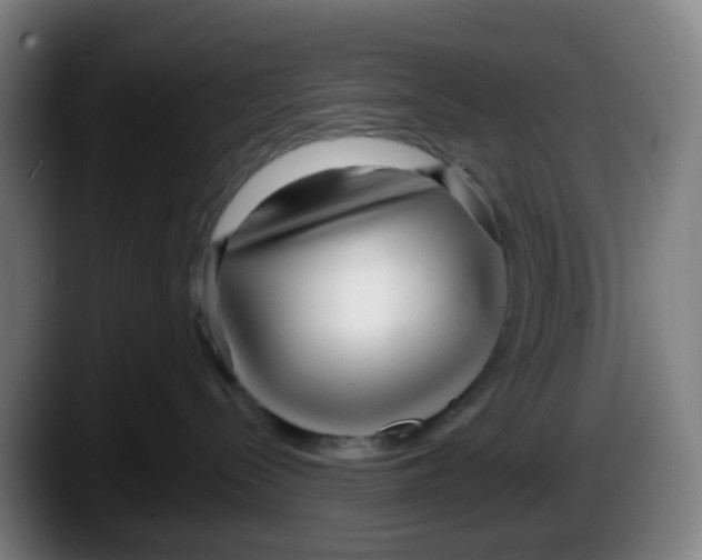 X0000087610288200705251949