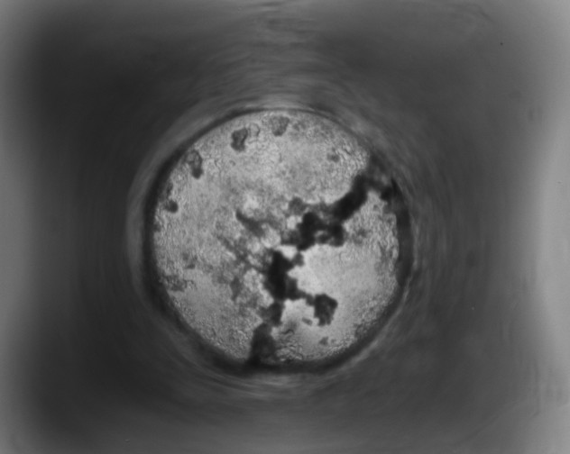 X0000087610295200705251948