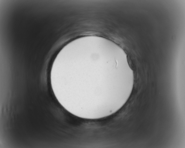 X0000087610296200705251948